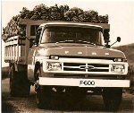 Caminhão Ford F-600